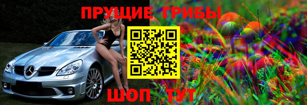 Псилоцибиновые грибы мицелий Избербаш