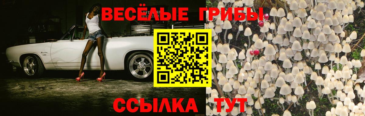 Псилоцибиновые грибы GOLDEN TEACHER  Галлюциногенные грибы Psilocybine cubensis  Избербаш  Вход с VPN 